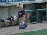 Homer, the Saltdogs Mascot